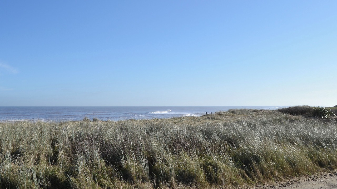 Photo of Others in Bacton
