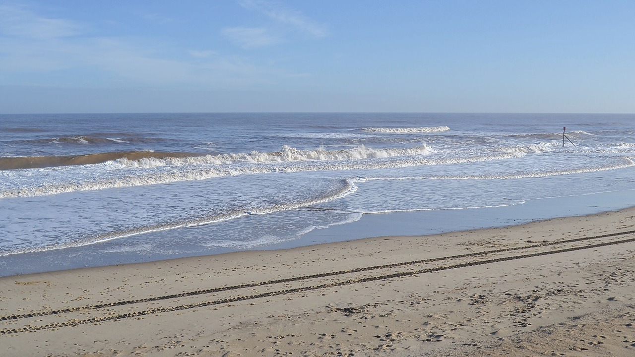 Photo of Others in Bacton