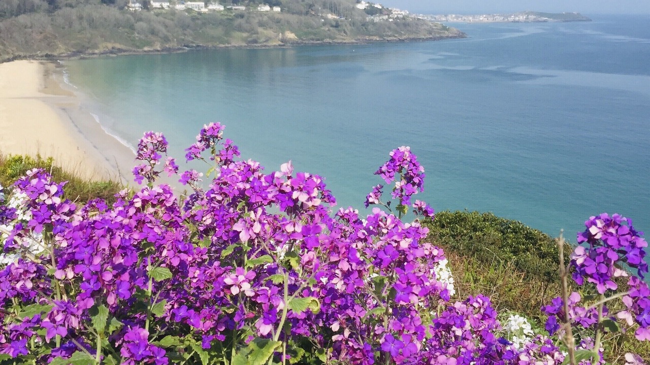Photo of Others in Carbis Bay