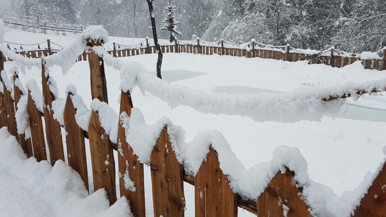 Photo of Outdoor in San Pancrazio