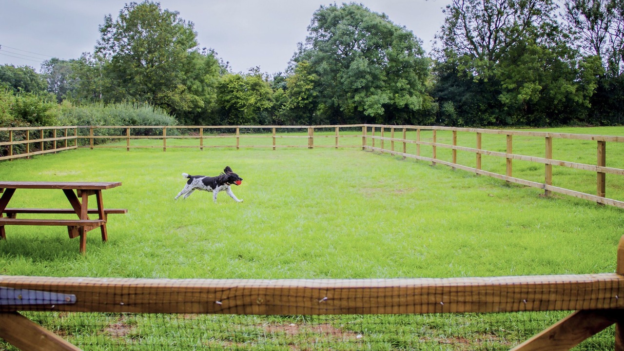 Photo of Outdoor in Shipham