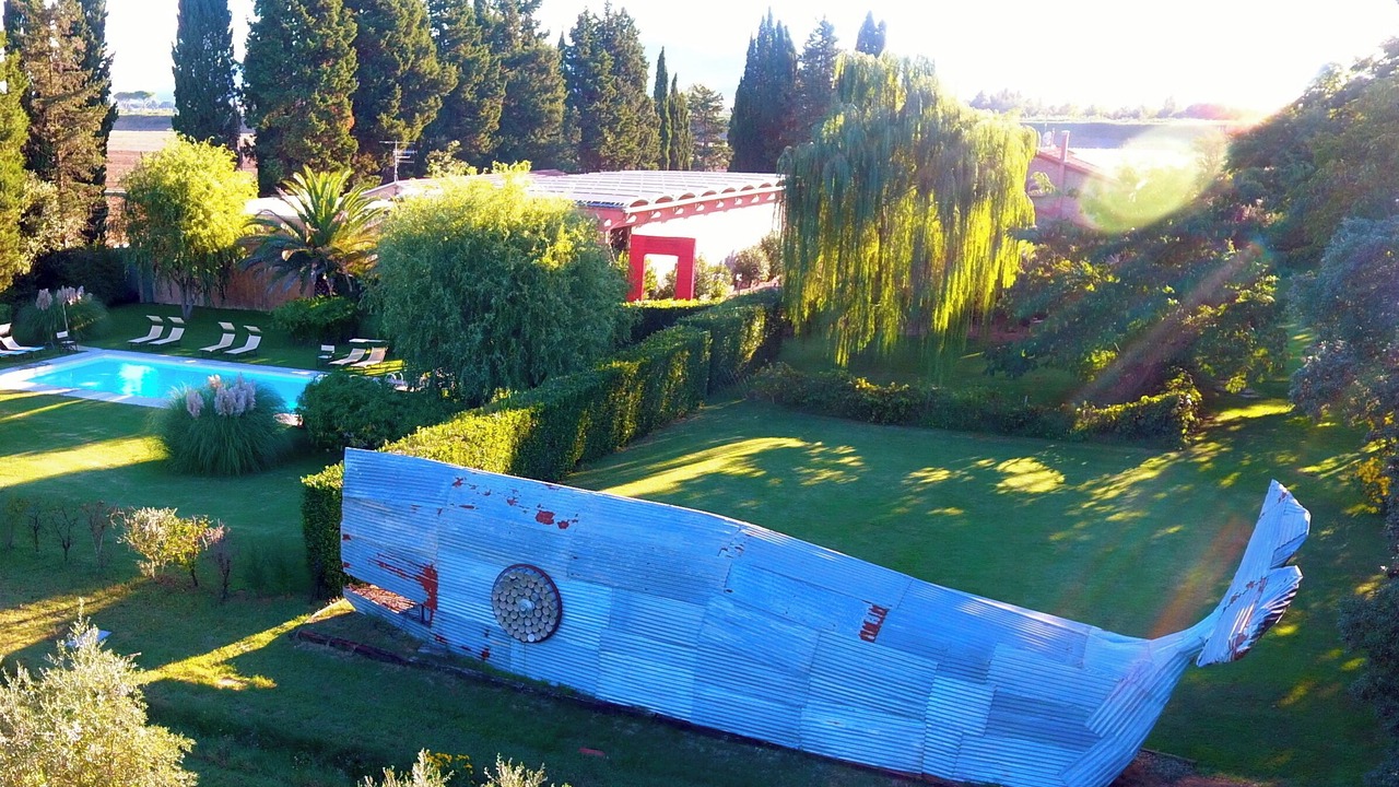 Photo of Outdoor in Montorsaio