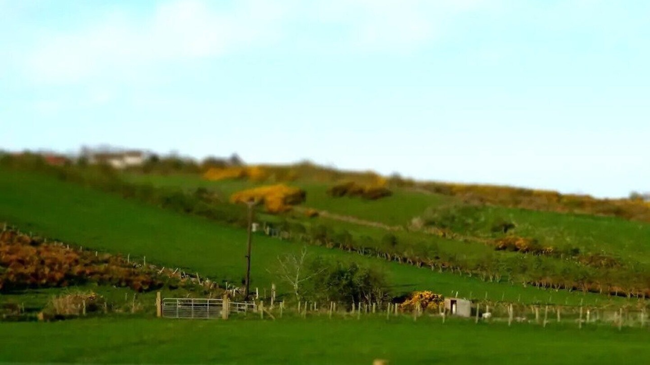 Photo of Others in Bushmills