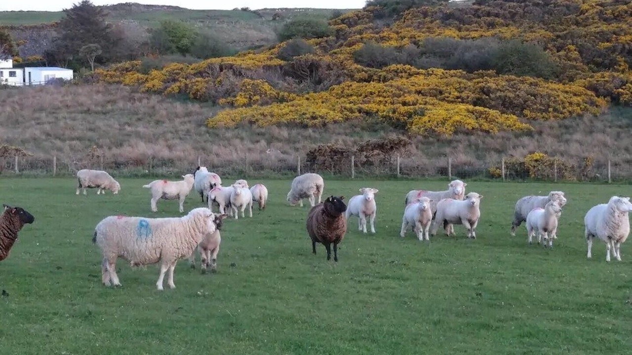 Photo of Outdoor in Bushmills
