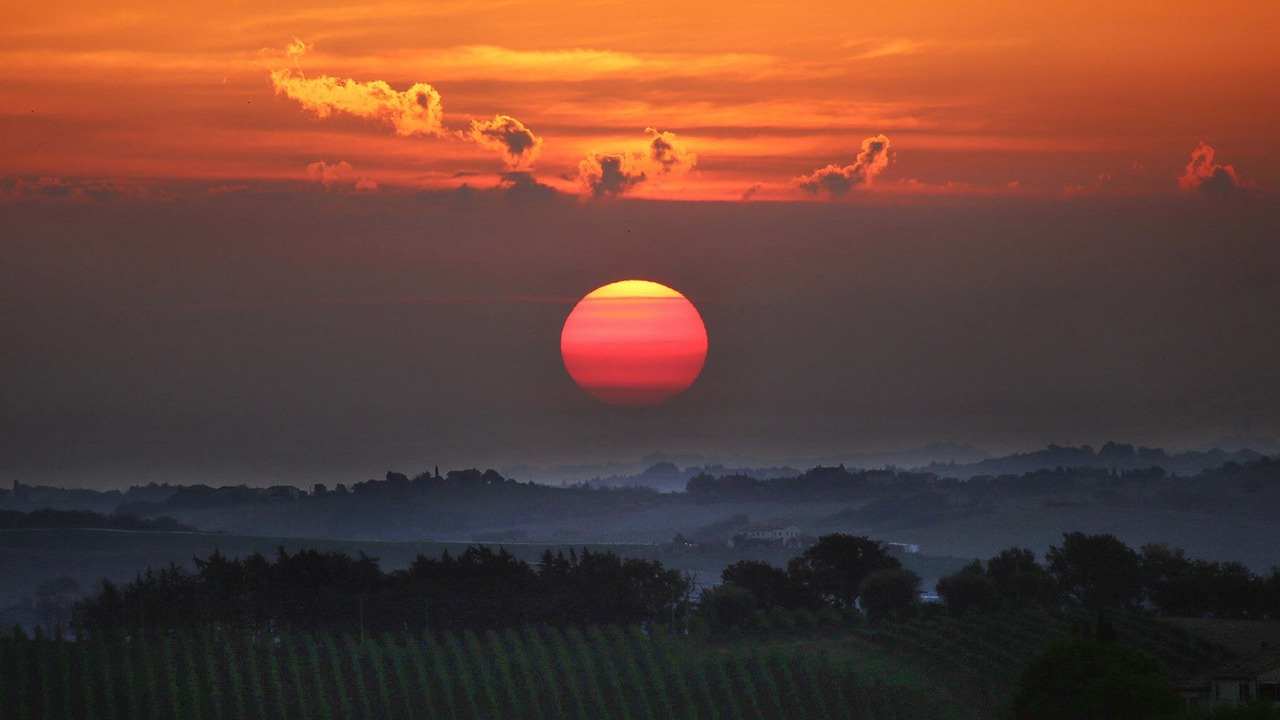 Photo of Outdoor in Serra de' Conti