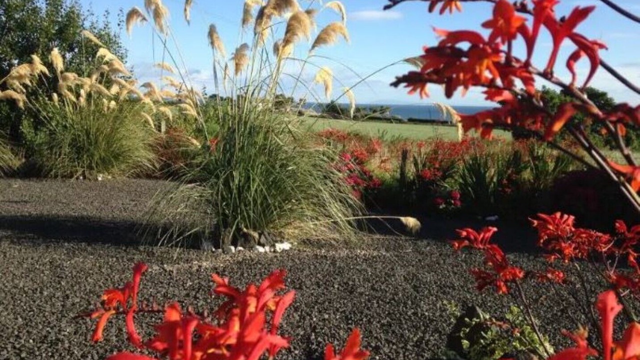 Photo of Outdoor in Islandmagee