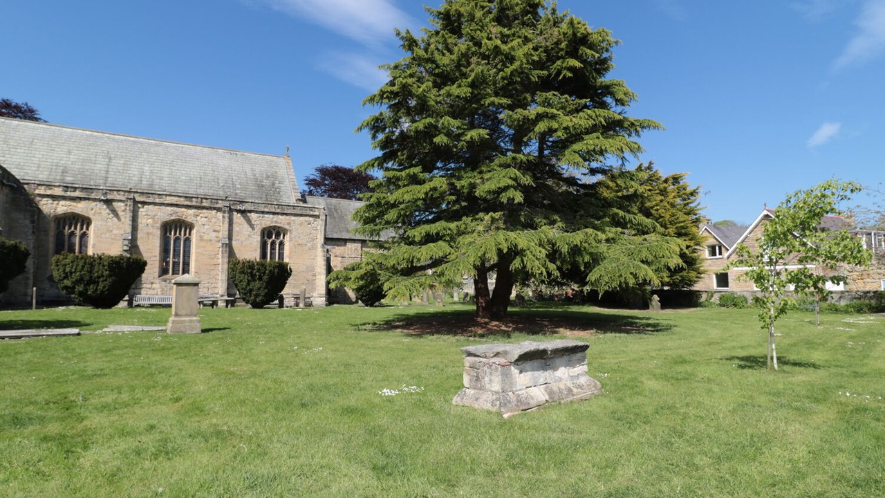 Photo of Outdoor in Warkworth