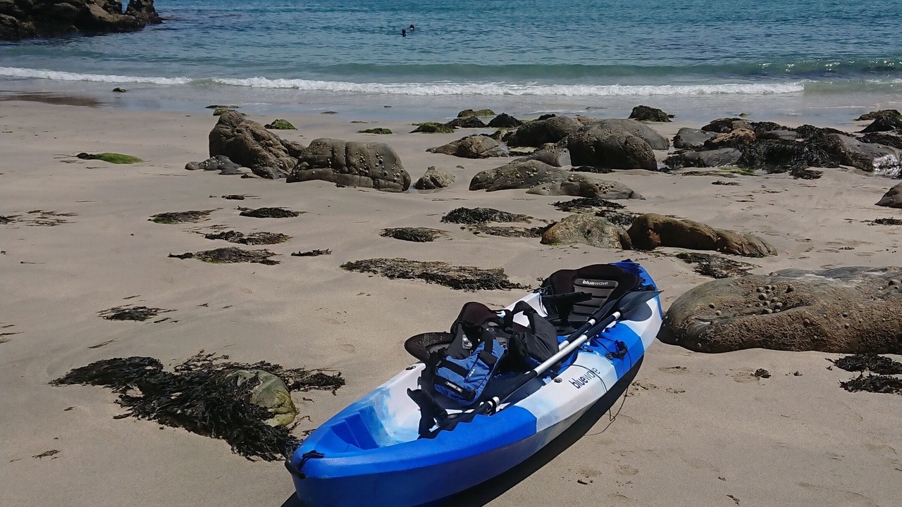 Photo of Others in Cadgwith