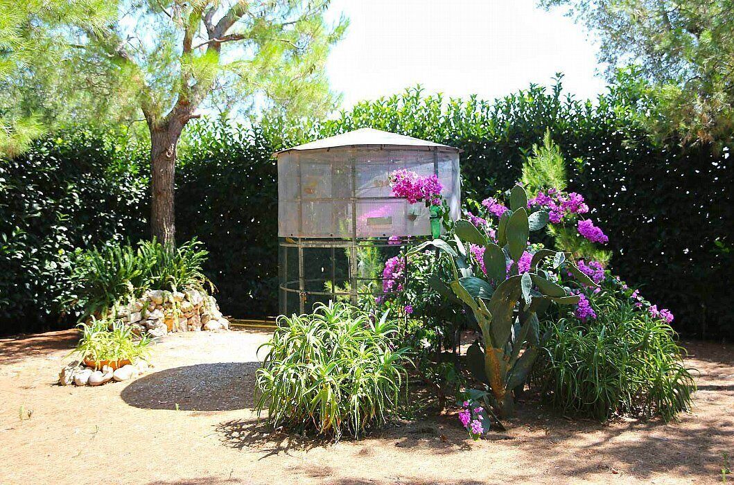 Photo of Outdoor in Fasano