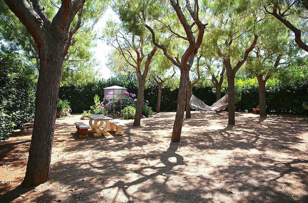 Photo of Outdoor in Fasano