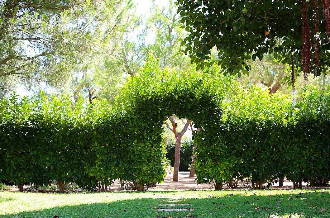 Photo of Outdoor in Fasano