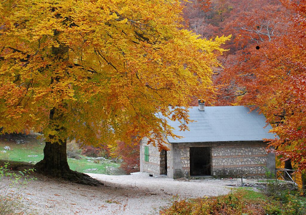 Photo of Outdoor in Morino