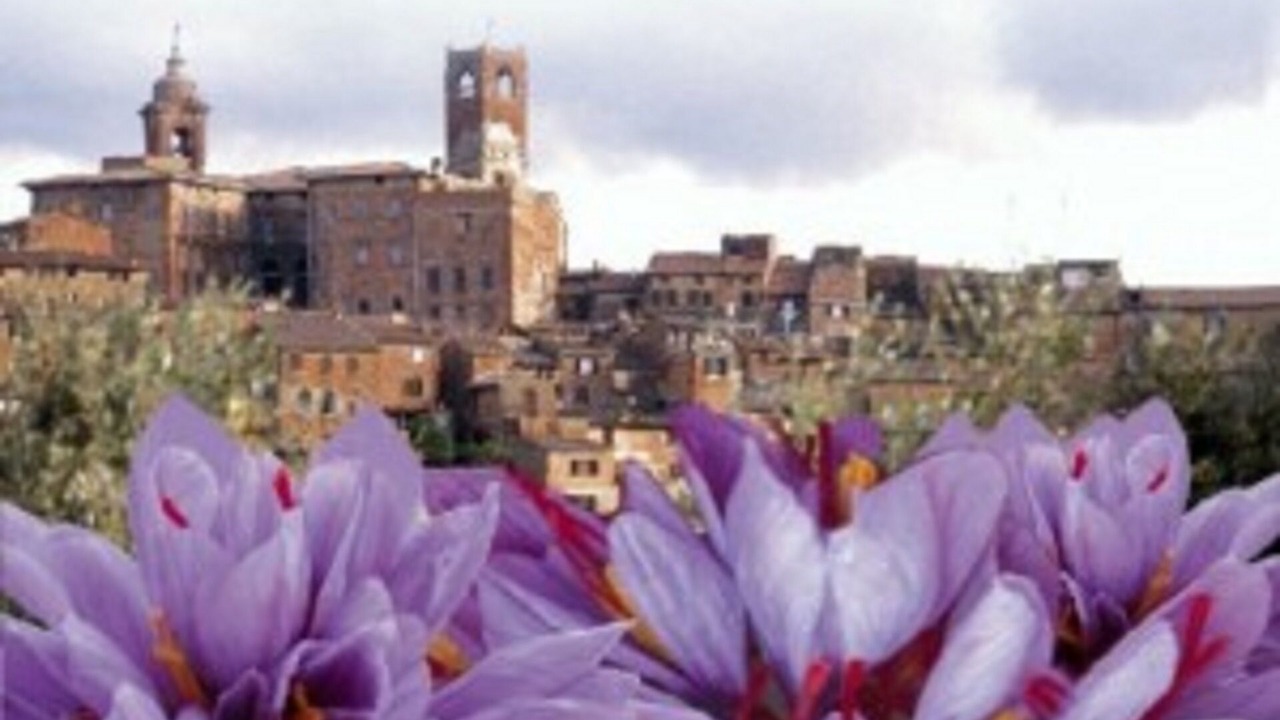 Photo of Others in Citta della Pieve