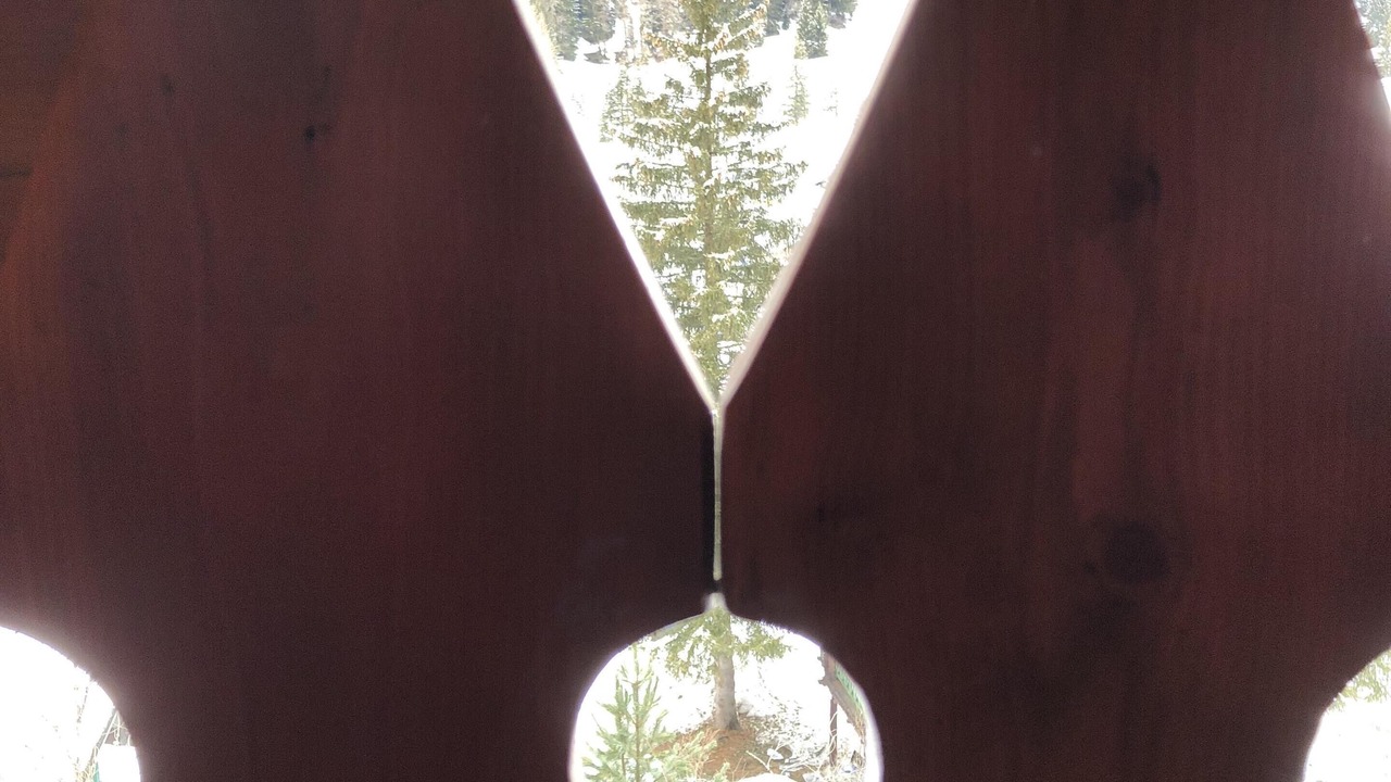 Photo of Others in Champoluc