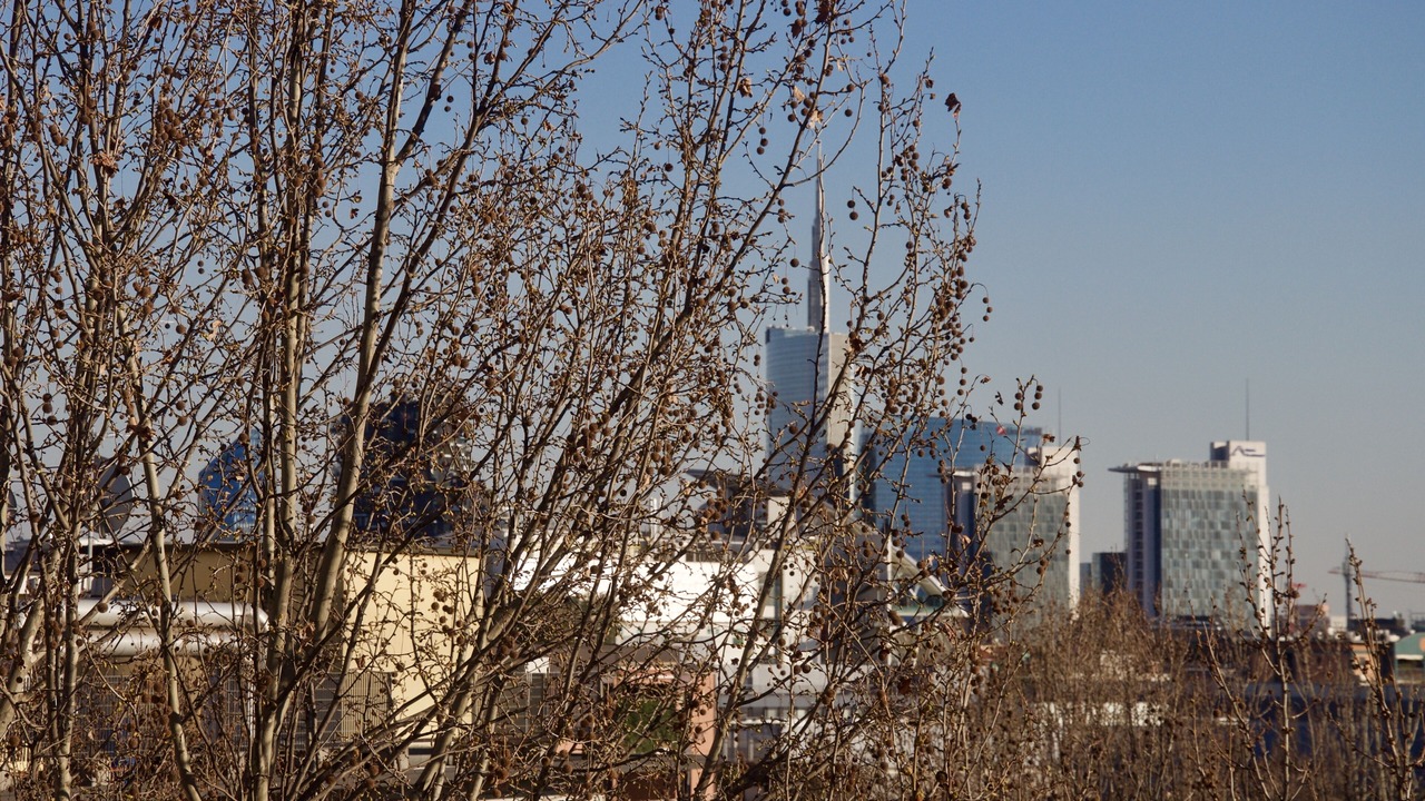 Photo of Outdoor in Dergano