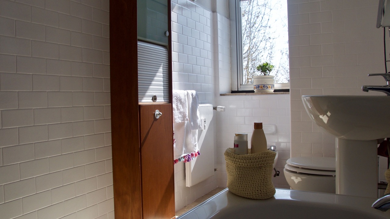 Photo of Bathroom in Dergano