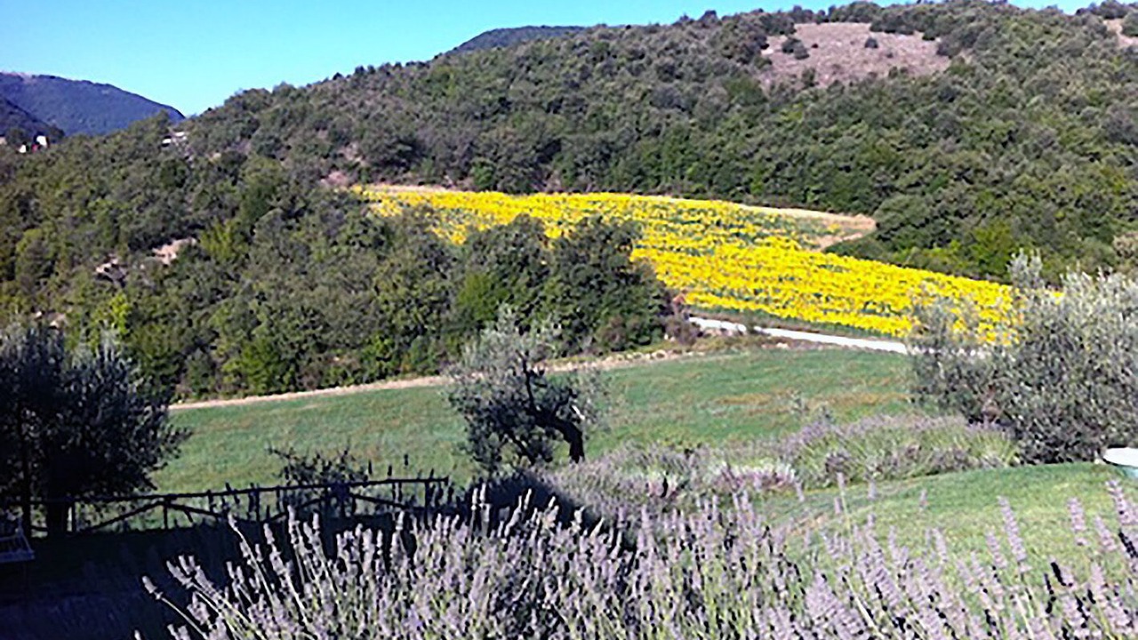 Photo of Outdoor in Montelovesco