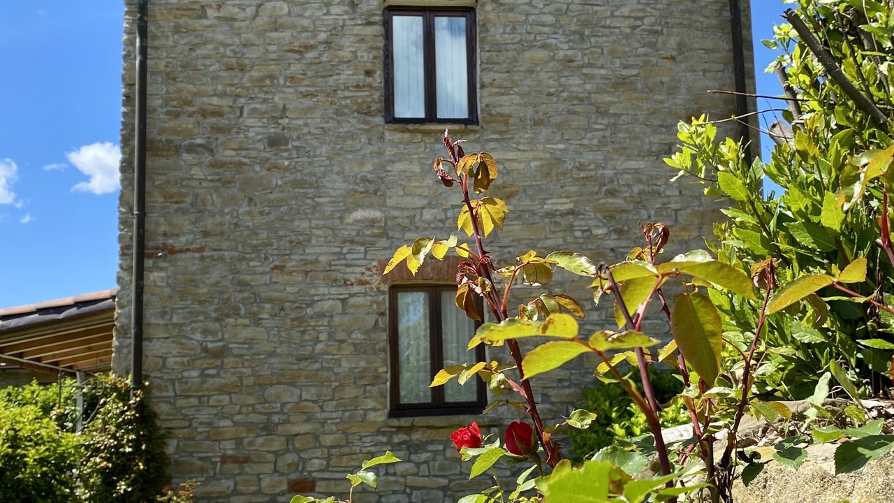 Photo of Outdoor in Mombarcaro