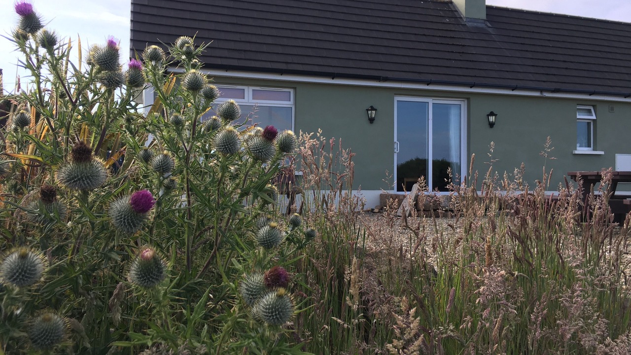 Photo of Outdoor in Ballycastle
