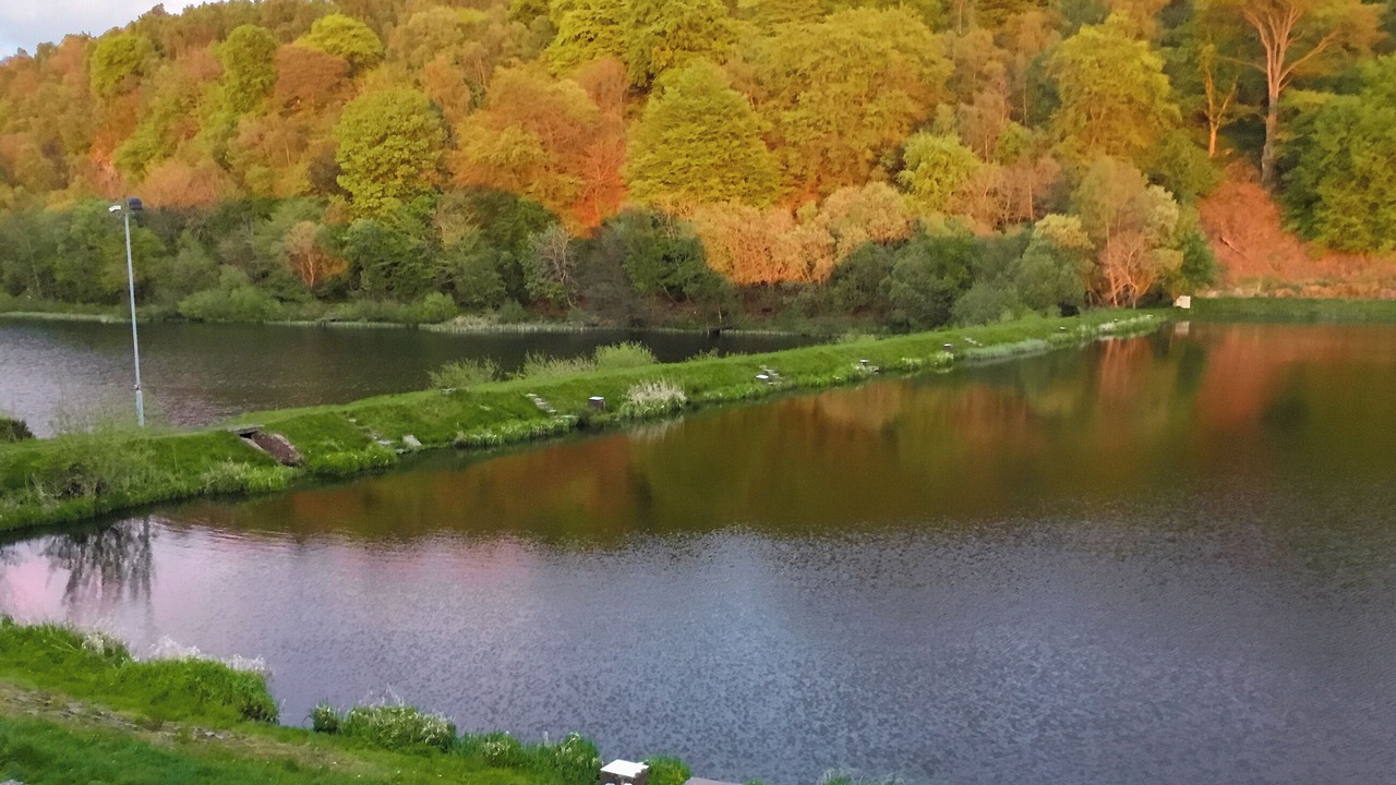 Photo of Others in Linlithgow