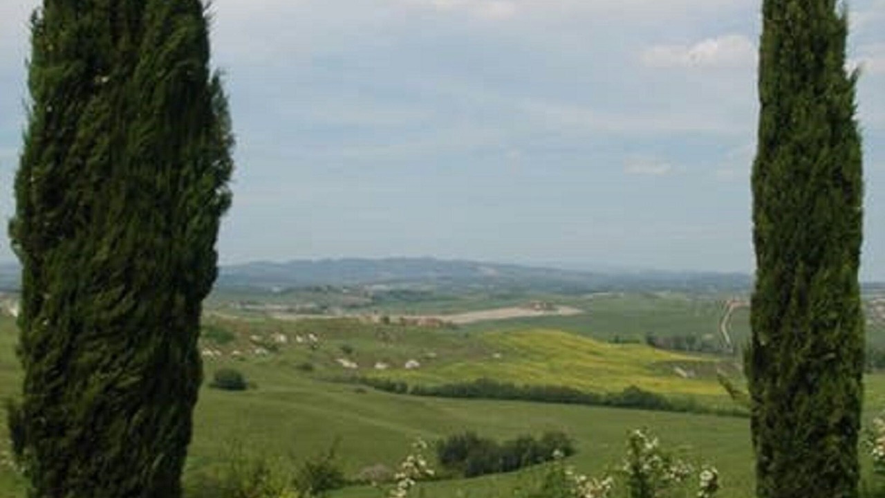 Photo of Others in Ponte di Gabbiano