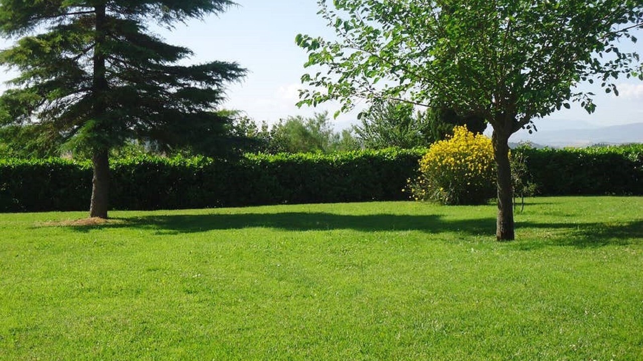 Photo of Outdoor in Ponte di Gabbiano
