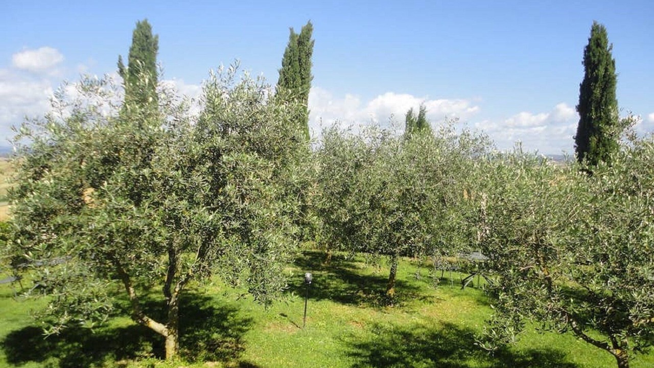 Photo of Outdoor in Ponte di Gabbiano