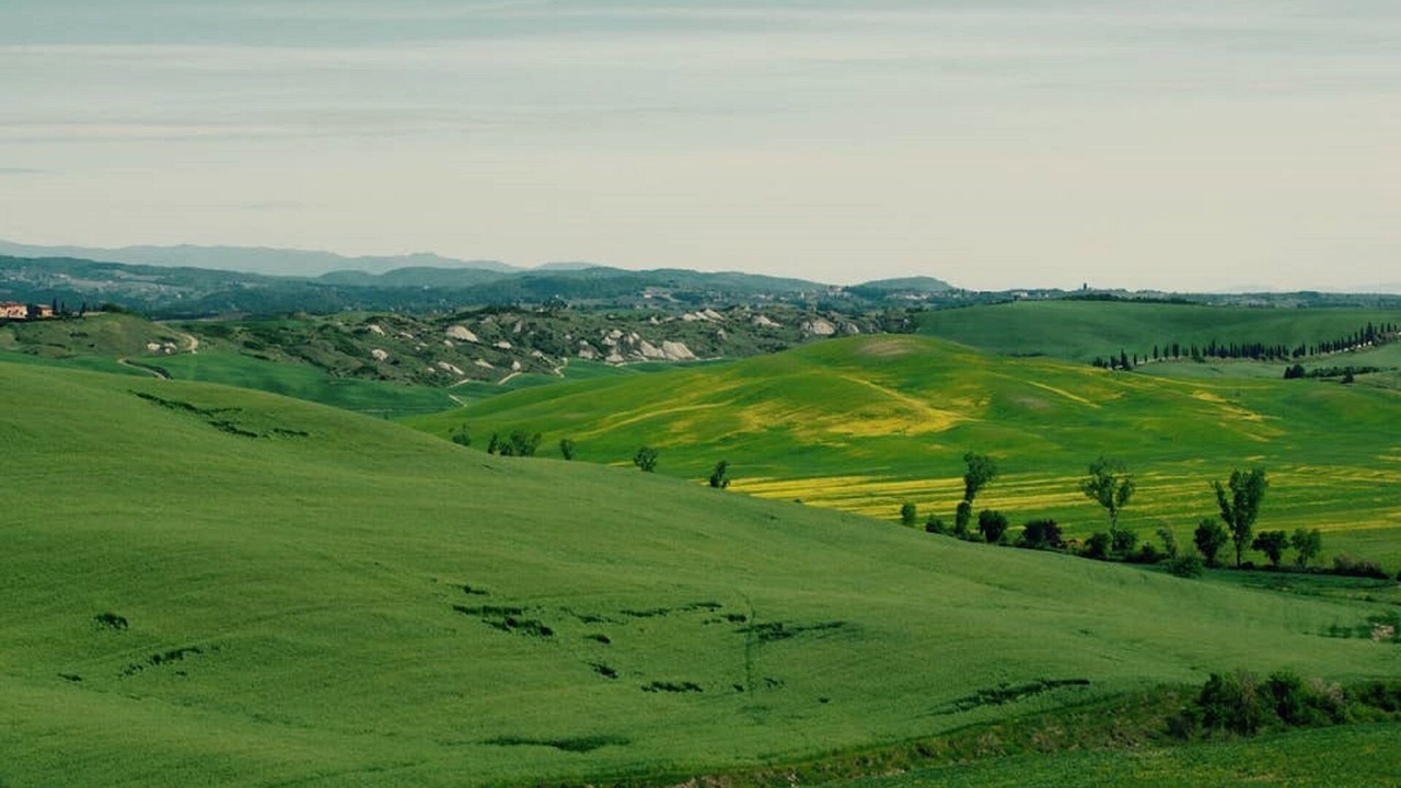 Photo of Others in Ponte di Gabbiano