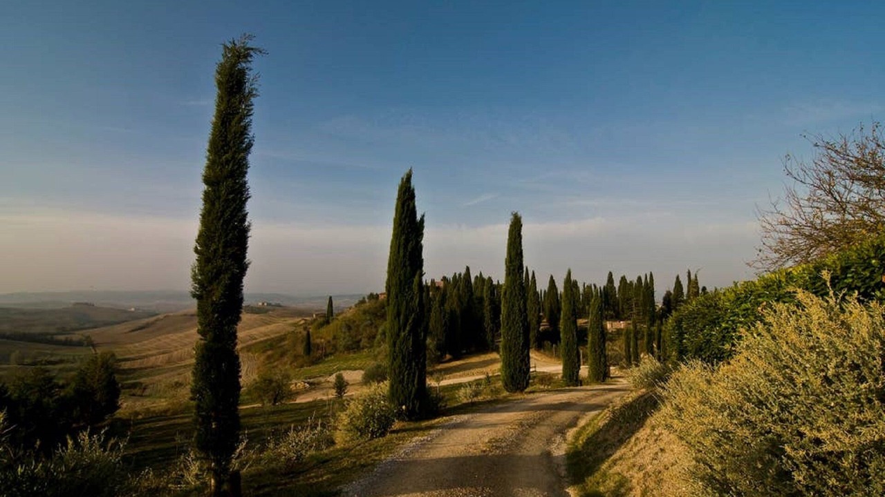 Photo of Outdoor in Ponte di Gabbiano