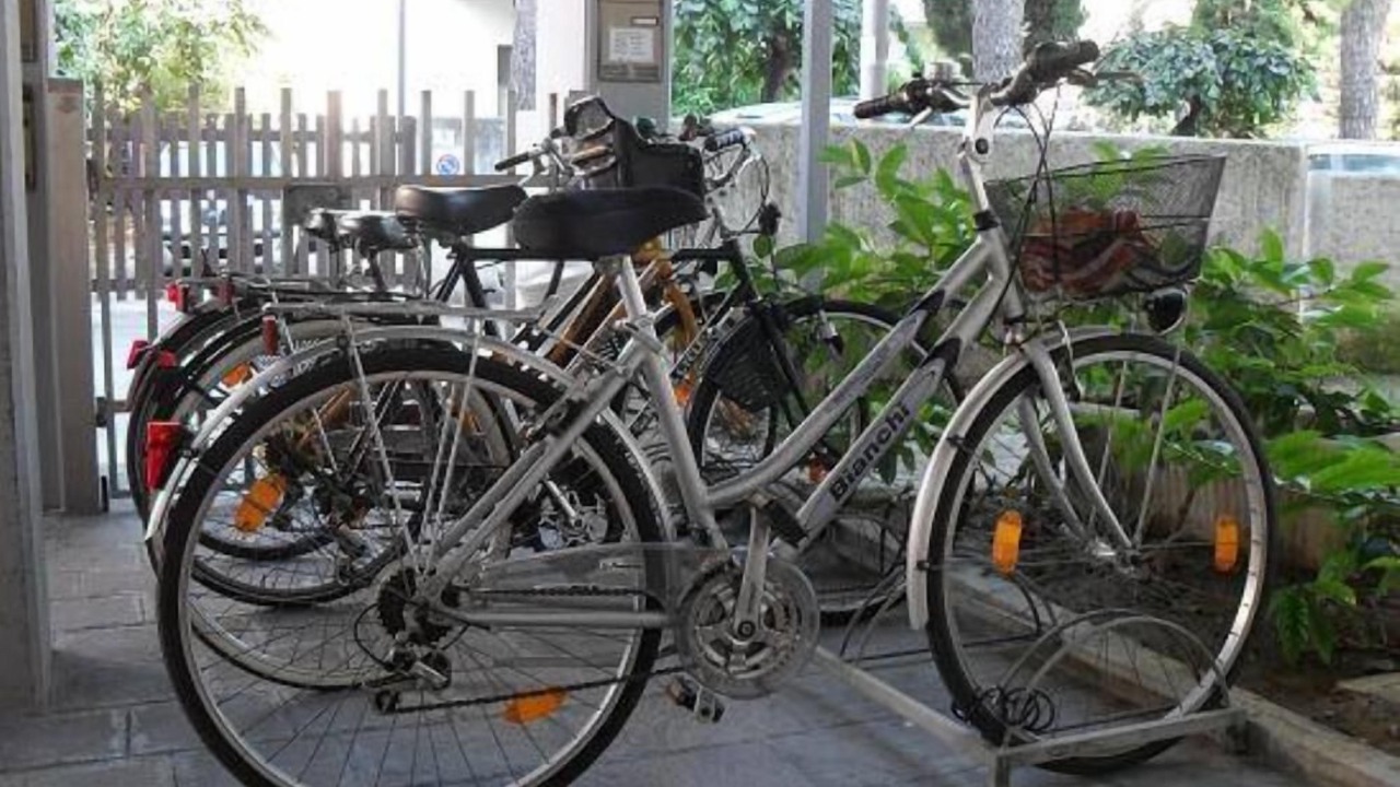Photo of Outdoor in Tortoreto Lido