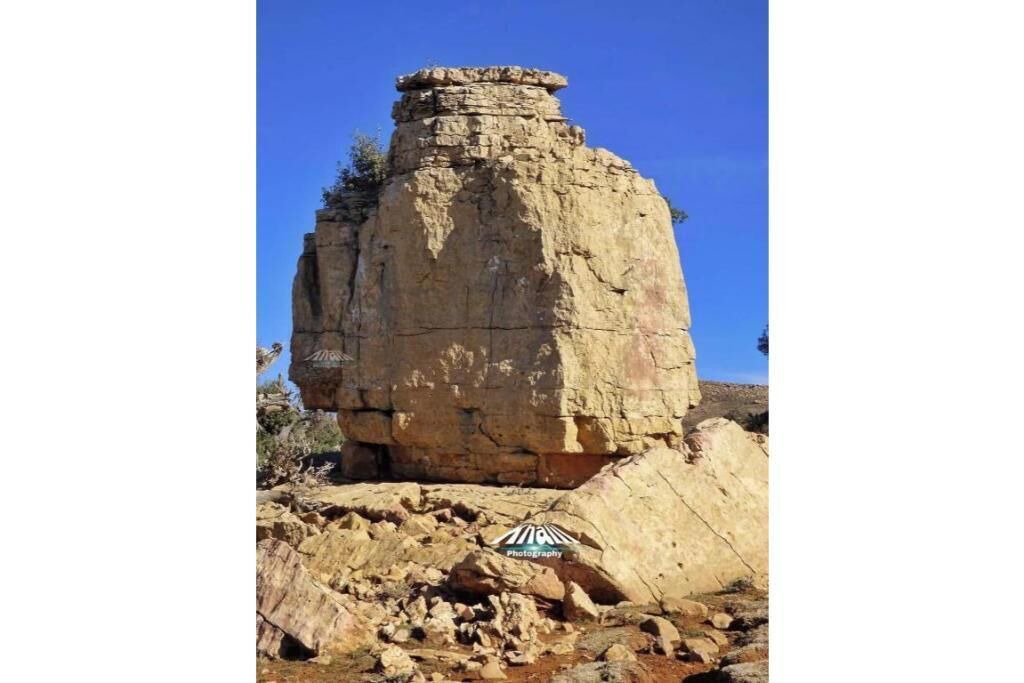 Photo of Others in Zaouiat Cheikh