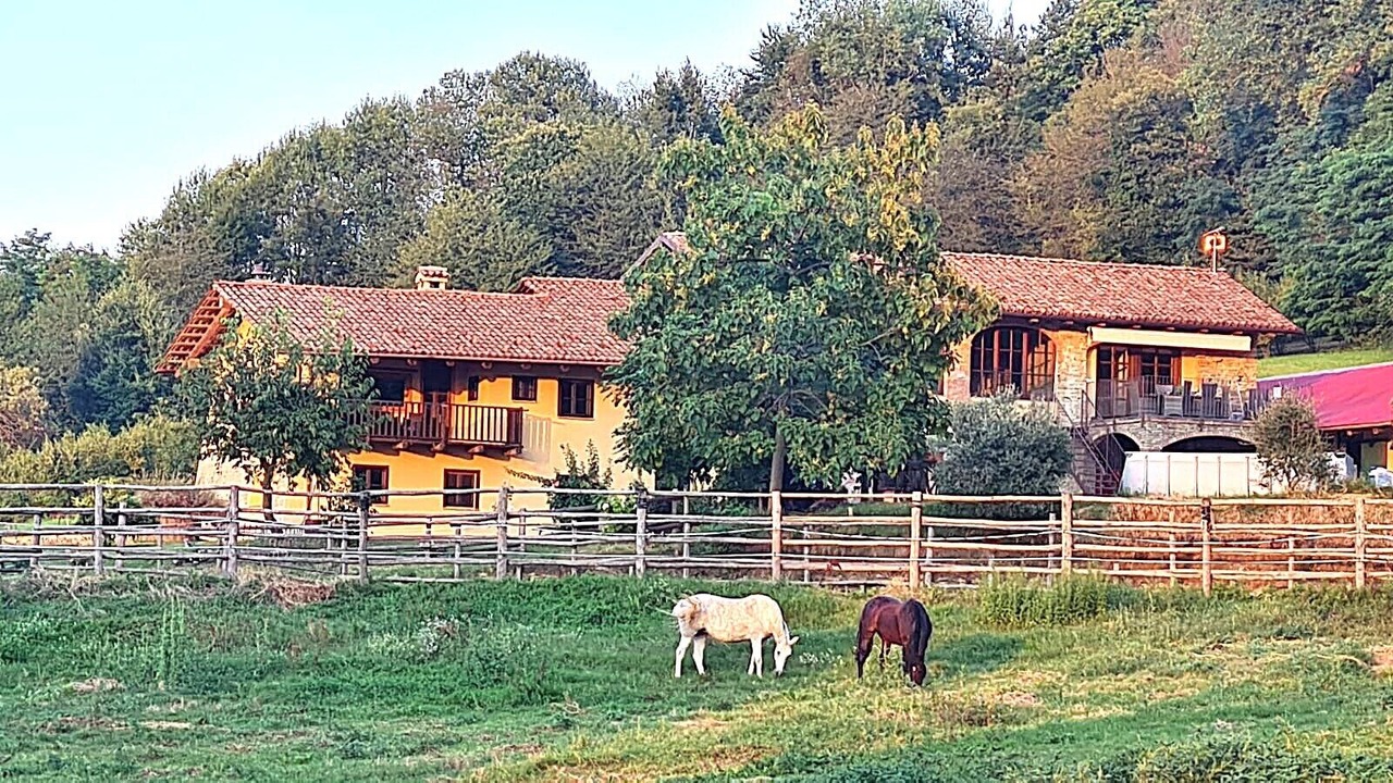 Photo of Outdoor in Somano
