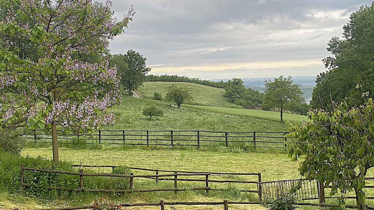 Photo of Outdoor in Somano