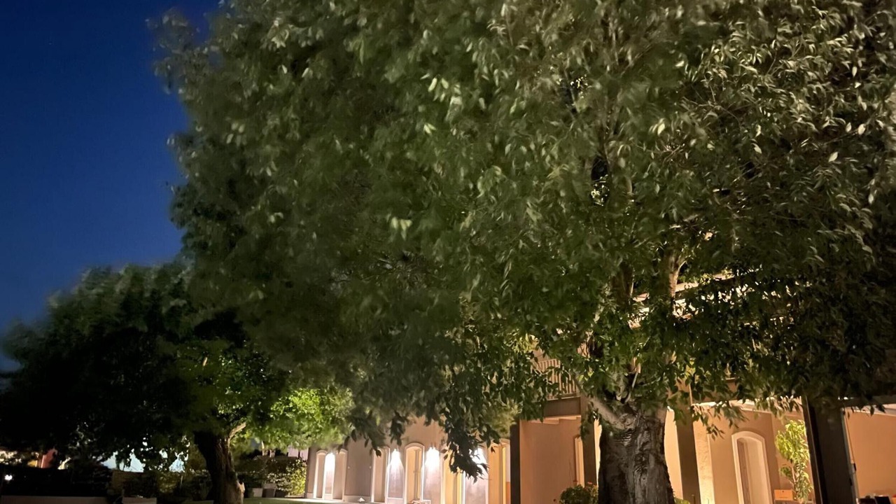 Photo of Outdoor in Ponti sul Mincio