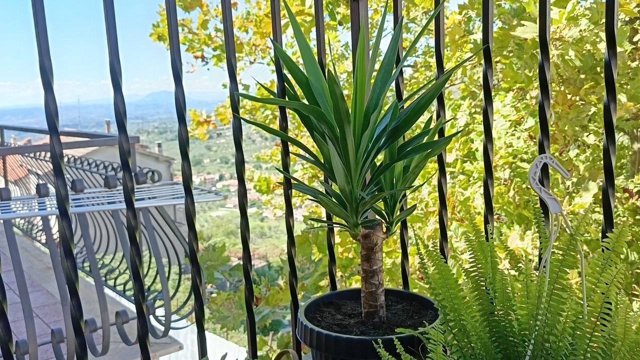 Photo of Outdoor in Nerola