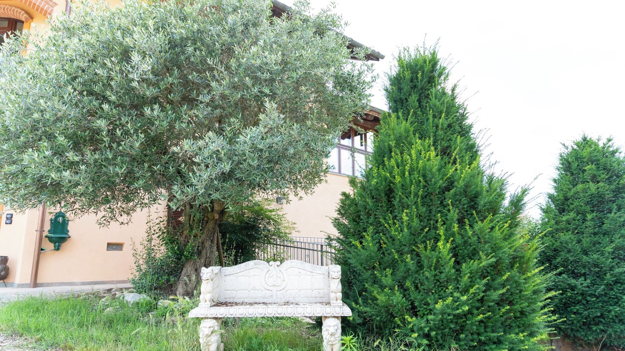 Photo of Outdoor in San Damiano dʼAsti