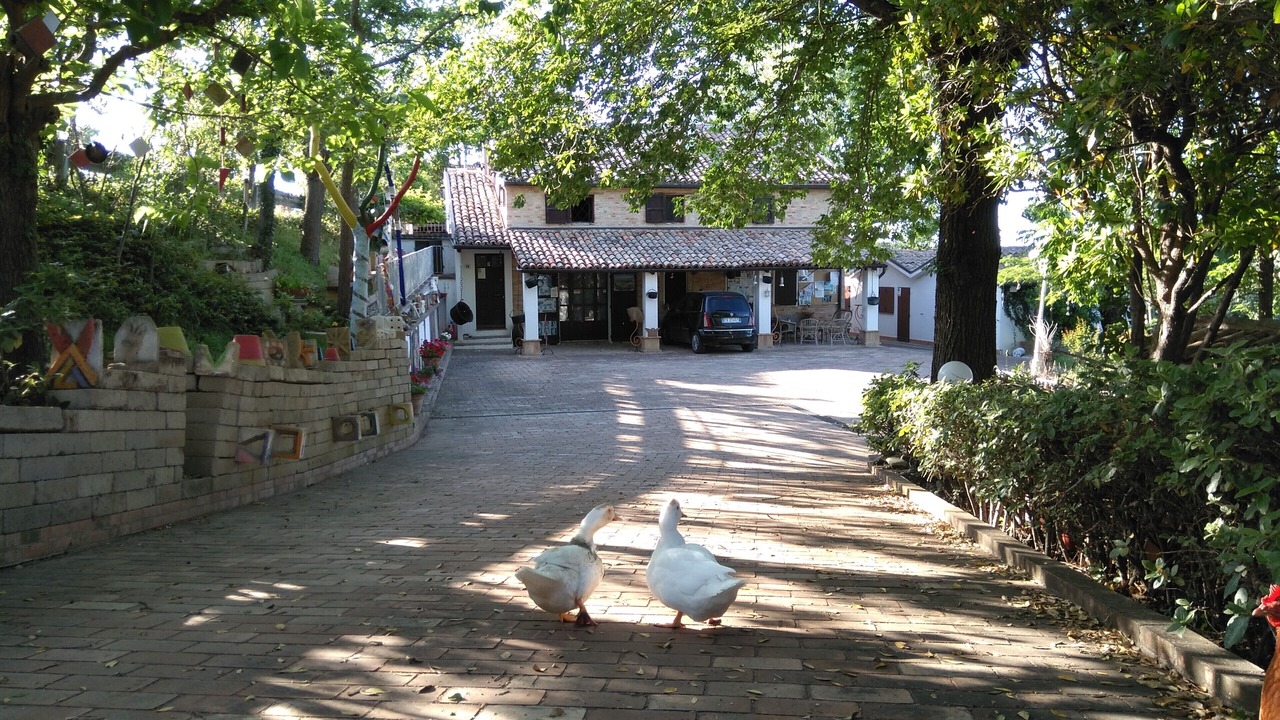 Photo of Outdoor in Castel Colonna