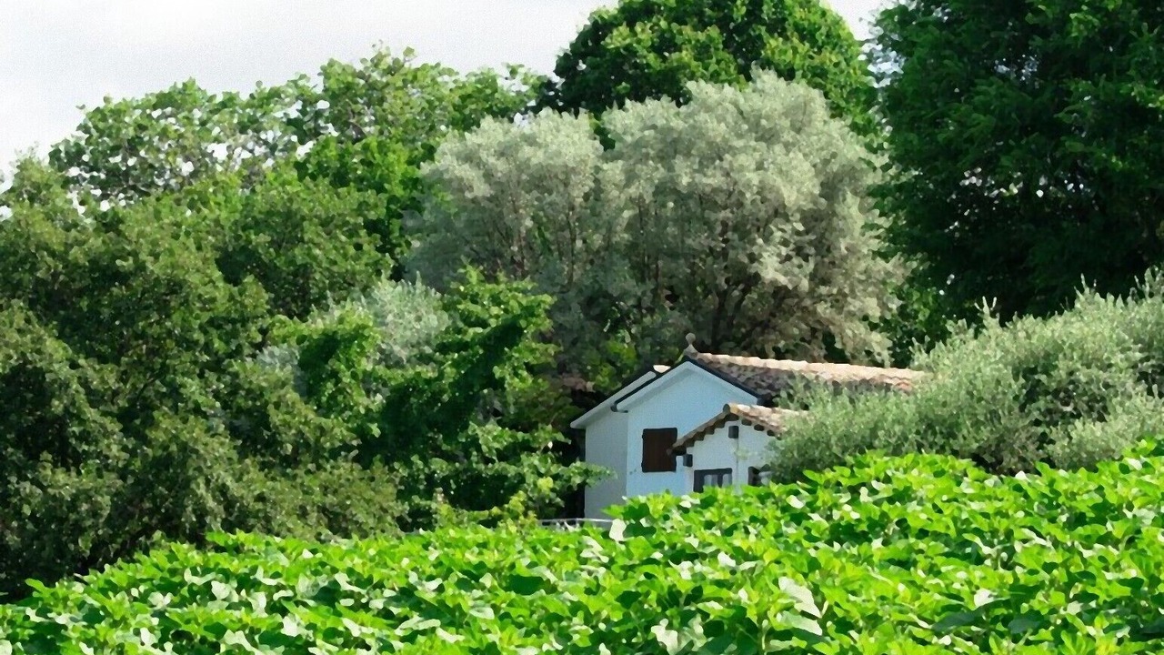 Photo of Outdoor in Castel Colonna