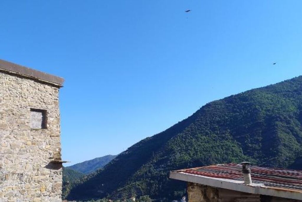 Photo of Others in Montalto Ligure