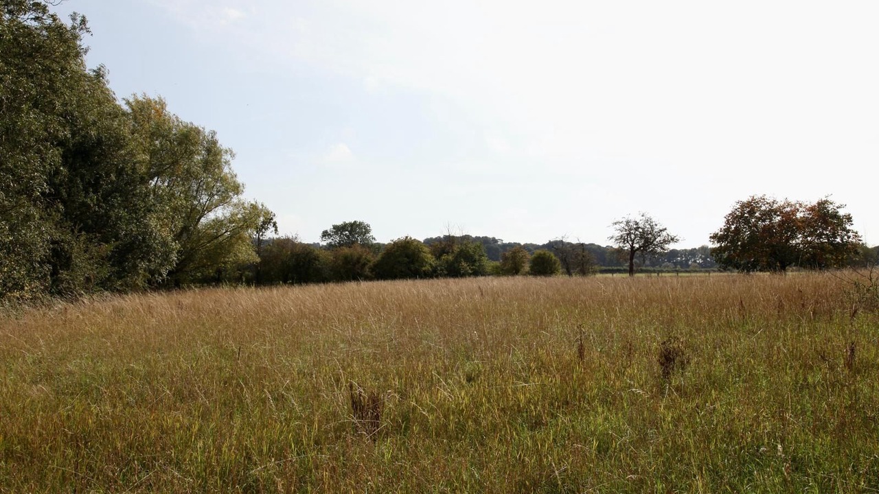 Photo of Others in Whichford