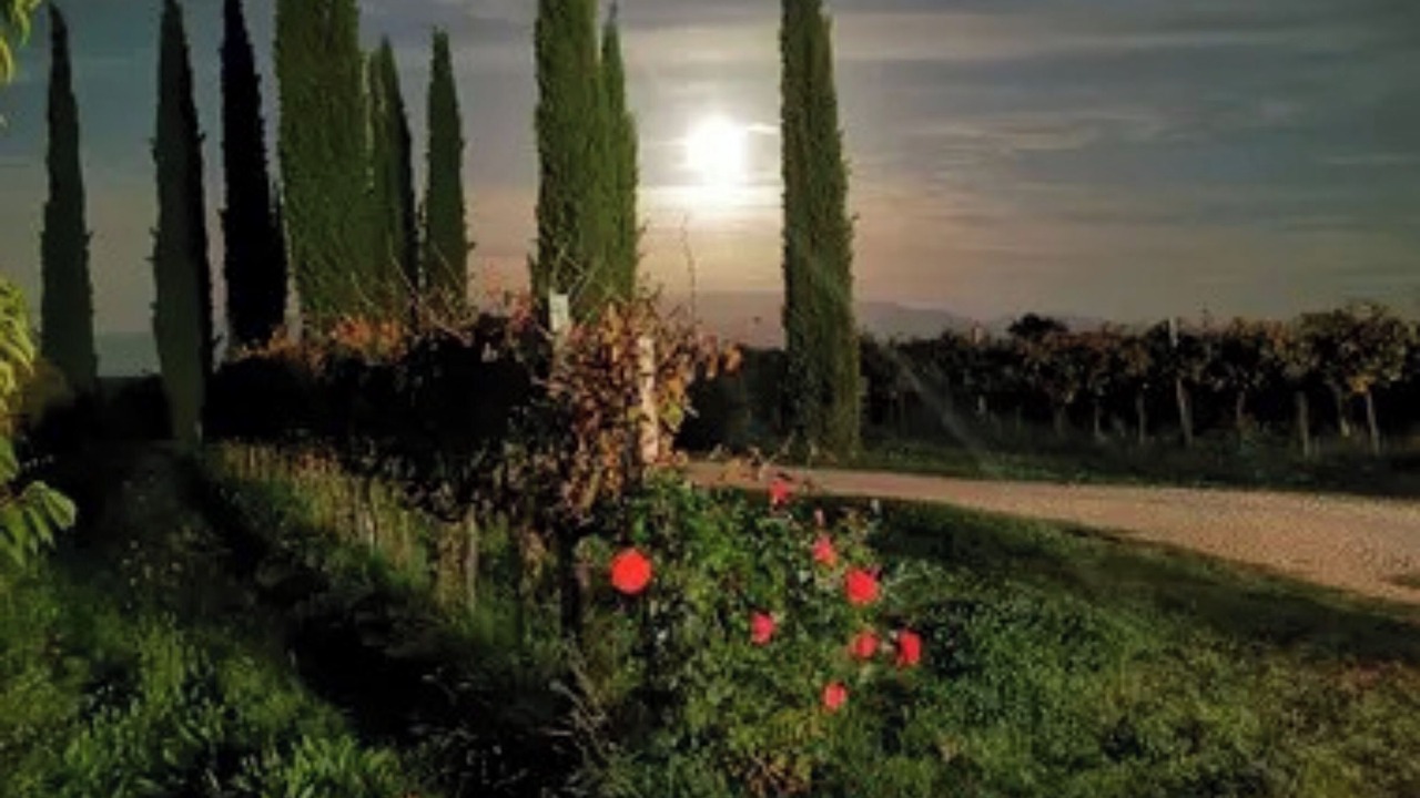 Photo of Outdoor in Montefalco