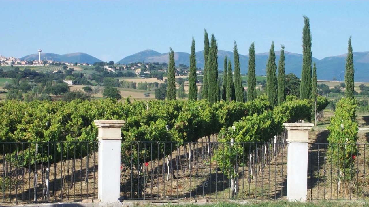 Photo of Outdoor in Montefalco