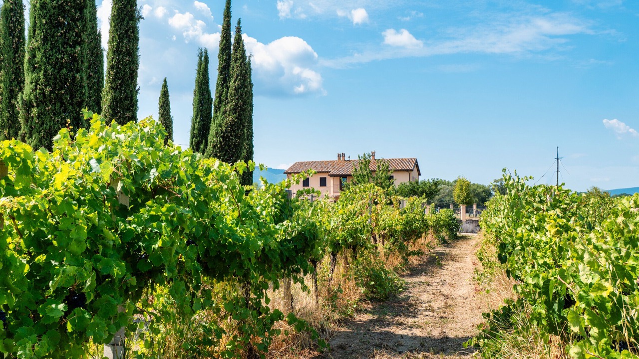 Photo of Outdoor in Montefalco