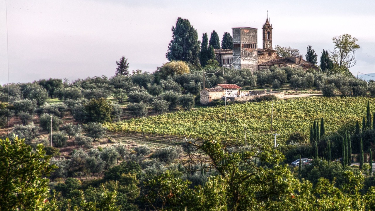 Photo of Others in Montespertoli