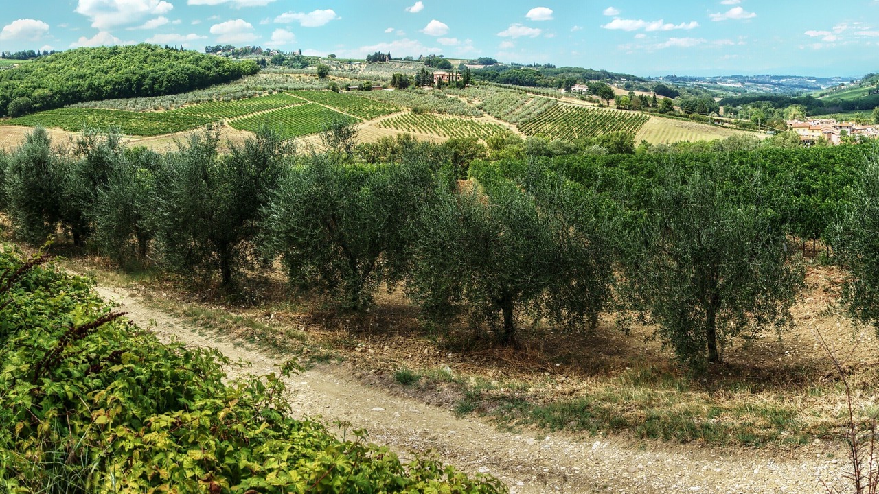 Photo of Others in Montespertoli