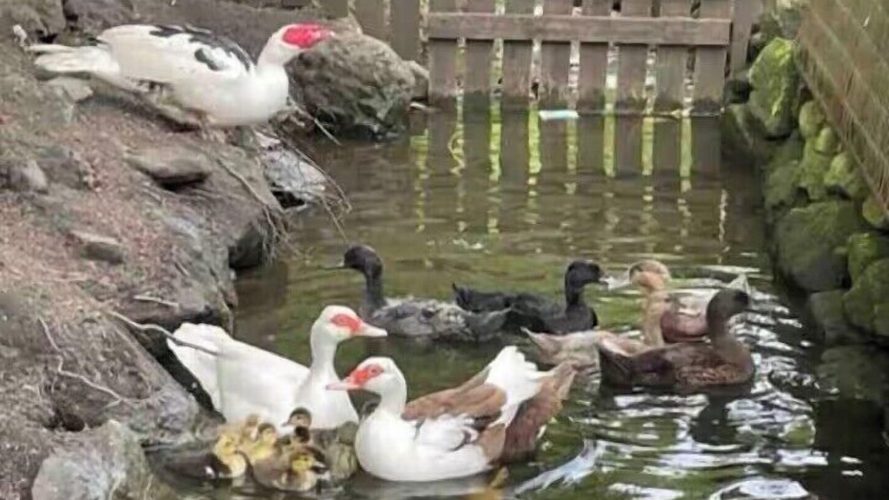 Photo of Others in Shotts