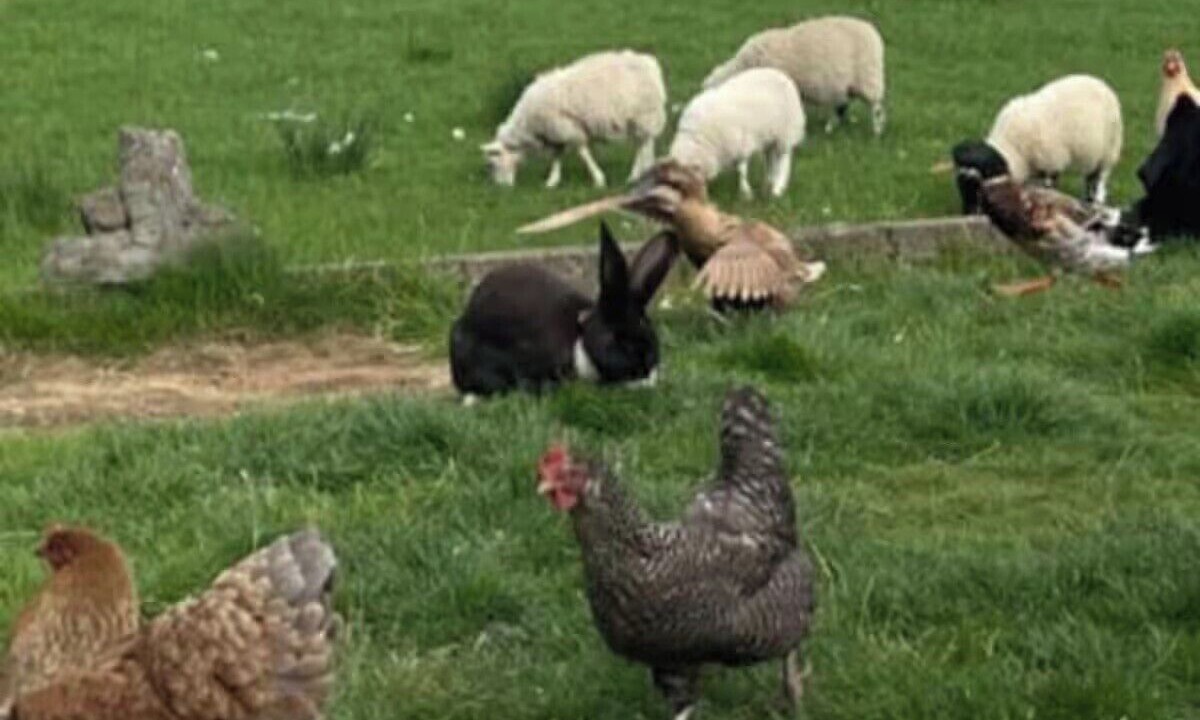 Photo of Others in Shotts