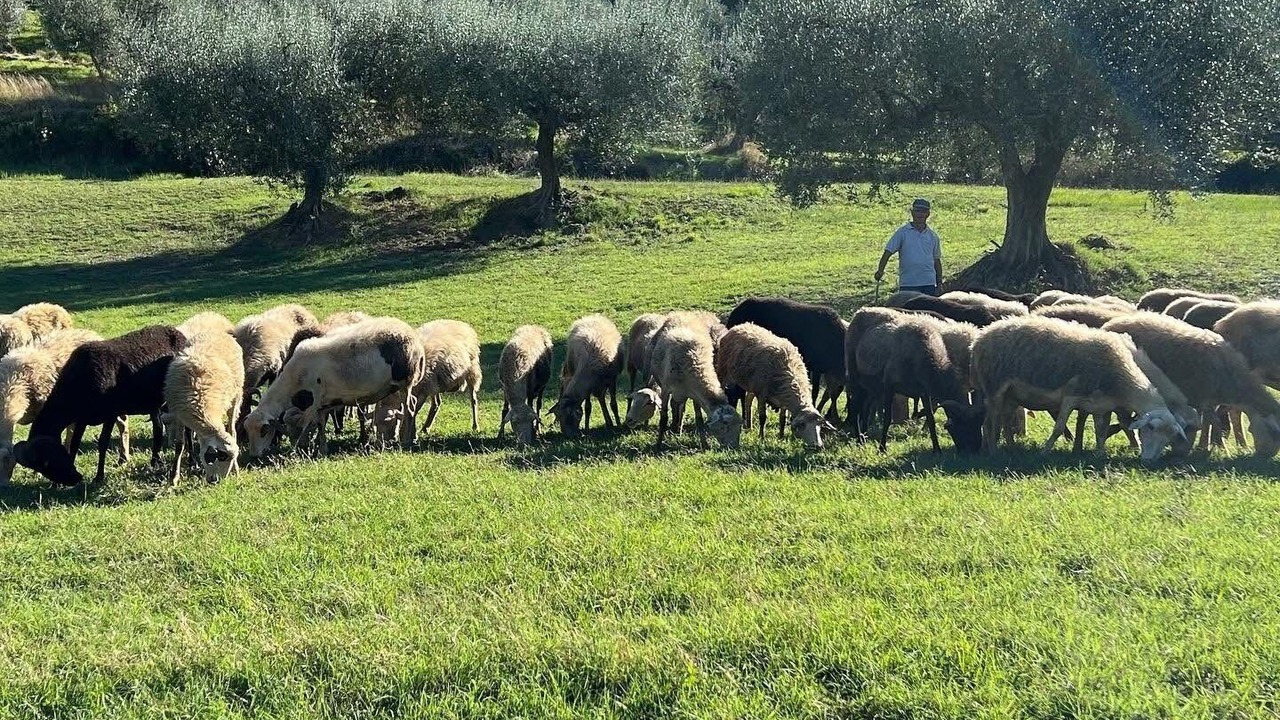 Photo of Others in Montescudo-Monte Colombo