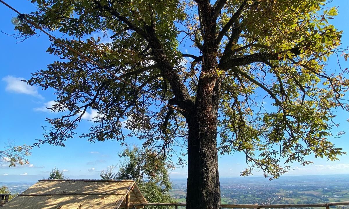 Photo of Outdoor in Pino Torinese