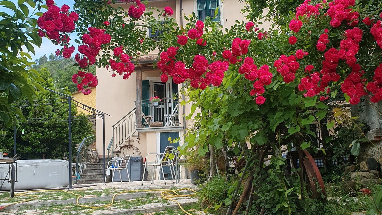 Photo of Outdoor in Carrodano Inferiore